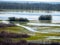 Spring floods of Biebrza river