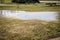 Spring floods. Flooded park with puddles of water