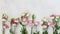 Spring floral banner, delicate Eustoma flowers on a white background.