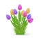 Spring floral bundle with fresh colorful tulips on green grass.
