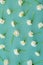 Spring floral pattern made with fresh white blooming daffodil flowers