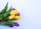Spring flower arrangement. Yellow and purple tulips on a light blue background.