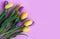 Spring flower arrangement. Yellow and purple tulips on a pink background.