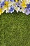 Spring flower border background, grass copy space, vertical