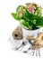 Spring flower in bucket with garden tool and gloves