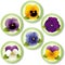 Spring Flower Buttons, Pansies