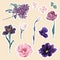 Spring flower stickers illustration. Floral elements. Beautiful romantic flower collection with tulip  lilac  anemones.