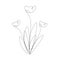 Spring flower tulips line drawing vector