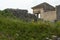 Spring flowers amongst the roman era ruins, Dougga, Tunisia