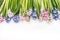 Spring flowers background with colorful Hyacinths on white wooden, top view.