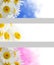 Spring flowers banners