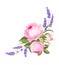 Spring flowers bouquet of color bud garland. Label with rose flowers. Bouquet of aromatic lavender flowers. Invitation