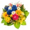 Spring flowers bouquet. Tulip, ranunculus, hyacinth, daisy, gerb