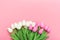 Spring flowers bunch of pink and white tulips on the pink background with free space for text.