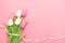 Spring flowers bunch of pink and white tulips on the pink background with free space for text.