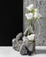 spring flowers with bunch rocks assortment. High quality photo