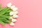 Spring flowers bunch of white tulips on the pink background with free space for text.