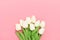 Spring flowers bunch of white tulips on the pink background with free space for text.