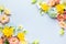 Spring Flowers composition on pastel blue background. Floral concept for Easter, Woman`s day or Valentine`s day