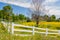 Spring Flowers in Fence Lined Pasture in Midwest Prairie