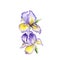 The spring flowers fleur-de-lis painting watercolor