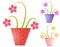 Spring Flowers In Flower Pots