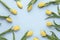 Spring flowers. Frame made of yellow tulip flowers on blue background. Flat lay, top view. Minimal floral mock up concept. Add you