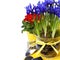 Spring flowers and garden tools