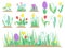 Spring flowers. Garden tulip flower, early floral plants and tulips plant gardening isolated vector set