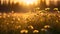 Spring Flowers in Golden Hour Glow: Dreamy Meadow Elegance