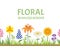 Spring flowers and green grass seamless border. Vector illustration of  Flowering meadow.