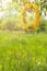 Spring flowers and green Leaves on abstract bokeh and blurred grass, health and Easter background