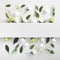 Spring flowers and green leaves background with text space