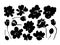 Spring flowers hand drawn vector set. Black brush flower silhouettes. Roses, peonies, chrysanthemums isolated cliparts.