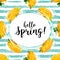 Spring flowers, Hello spring lettering. Yellow dandelion pattern, Trendy striped spring background. All objects are