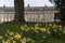 Spring flowers in the historic city of Bath, Somerset, United Kingdom