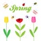 Spring flowers and insect vector background