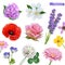 Spring flowers. Lilac, jasmine, poppy, rose, lavender, clover and chamomile. 3d vector icon set