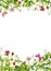 Spring flowers, meadow grass, butterflies. Floral border. Watercolor card, blank