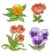 Spring flowers pansies, peony and tulips color variation for coloring book isolated on white