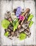 Spring flowers potting with hyacinth , bulbs, Tubers, shovel and soil, composing