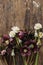 Spring flowers rustic flat lay. Beautiful helleborus, muscari, daffodils on aged wooden background. First spring flowers gardening