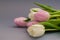 Spring flowers tulips on a gray background. Composition. Spring mood. Background