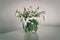 spring flowers in a vase on light table in white room - vintage