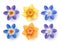 Spring flowers vector set. Daffodils, choinodoxa, and crocus collection with various colors