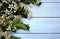 Spring, flowers,  white, background, flower, blossom, tree, sky, petal, isolated,  photo, branch, bloom, nature, pink, green, abst