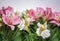 Spring flowers white and pink Alstromeria flowers bouquet on the white background. Space for text