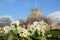 Spring flowers with Wigan Parish Church background.
