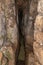 The spring flows in the cleft of the mountain and comes into the Pool of Siloam in Silwan, the Arab suburb of Jerusalem in Israel