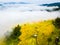 Spring fog in mountains, Terraced rice on Mountain, Northern of Thailand